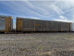 TTGX 994175